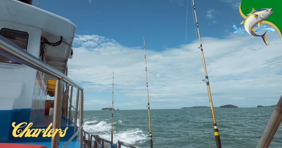 Discover the Top 7 Corolla Fishing Charters for the Perfect Getaway